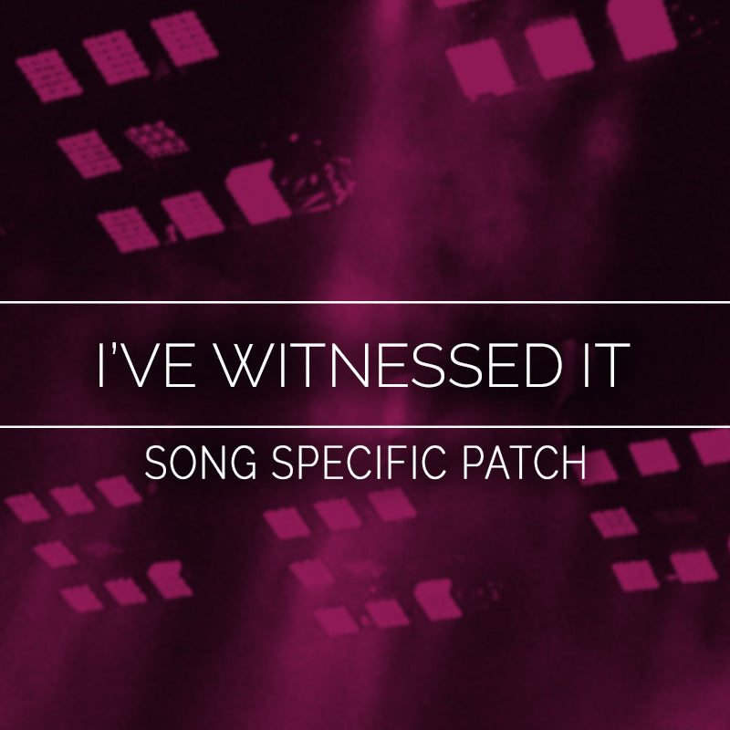 I've Witnessed It Song Specific Patch