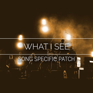 What I See Song Specific Patch