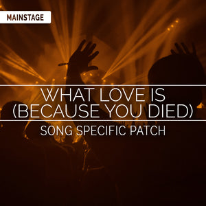 What Love Is (Because You Died) Song Specific Patch