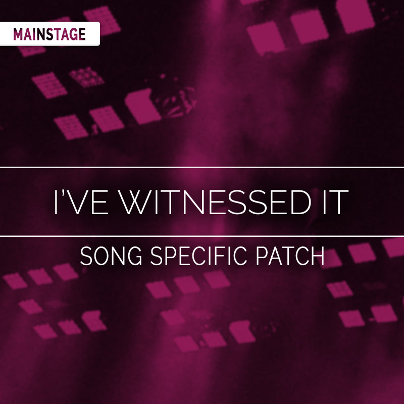 I've Witnessed It Song Specific Patch