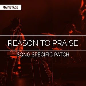 Reason To Praise Song Specific Patch